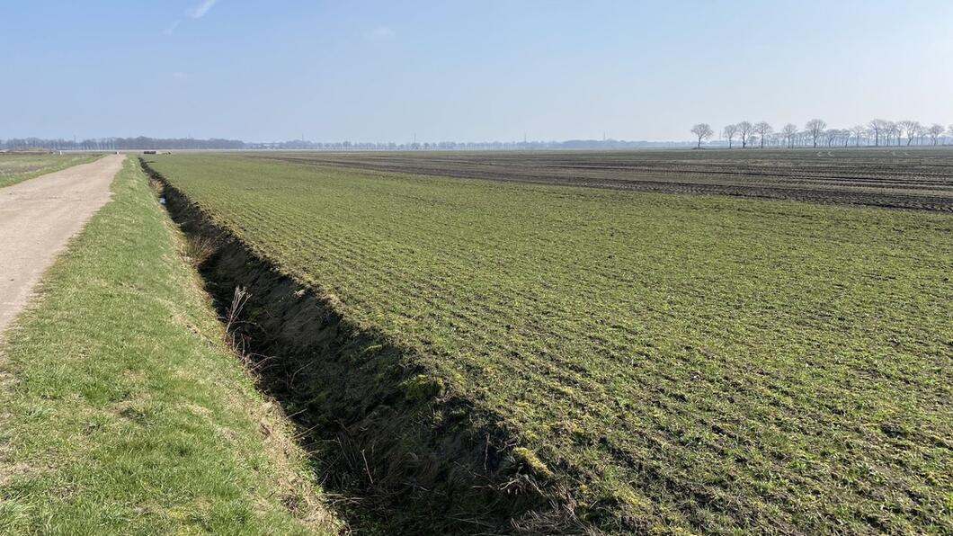 Voorgestelde locatie zonnepark zuidvelde