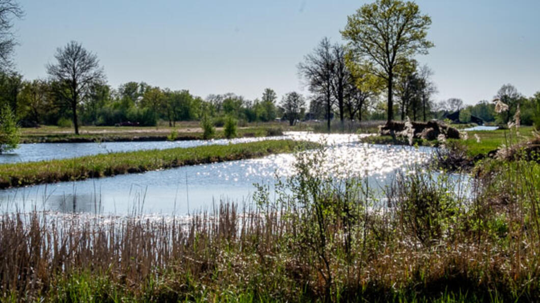 landschap met water
